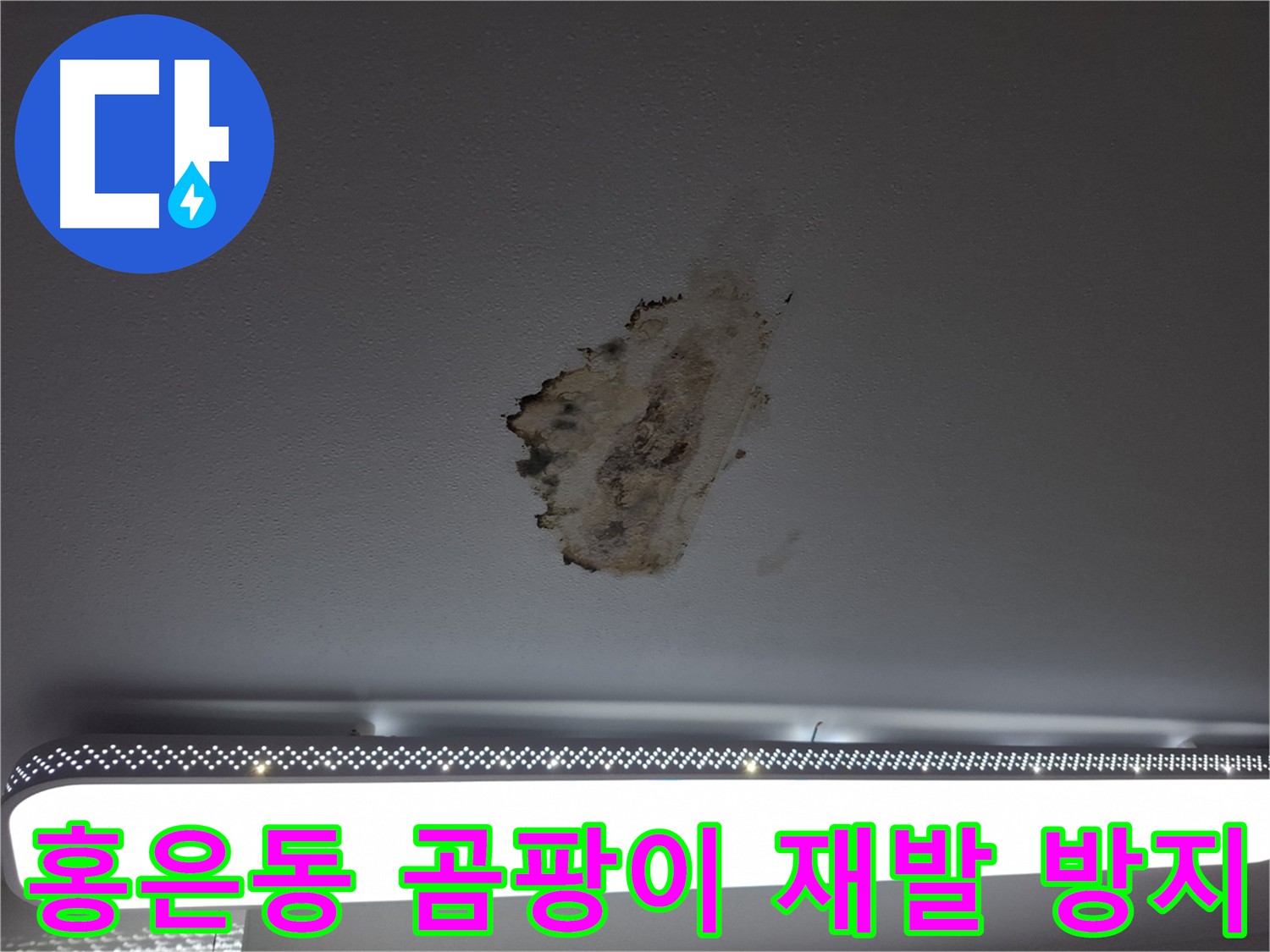 홍은동 천장 곰팡이 재발 방지 - 꼼꼼한 시공 및 방습-항균 처리