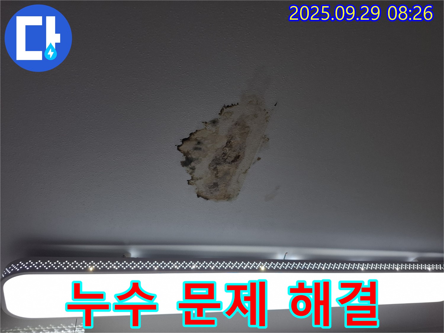 젖은 천장 - 곰팡이 - 누수 문제 해결 사례