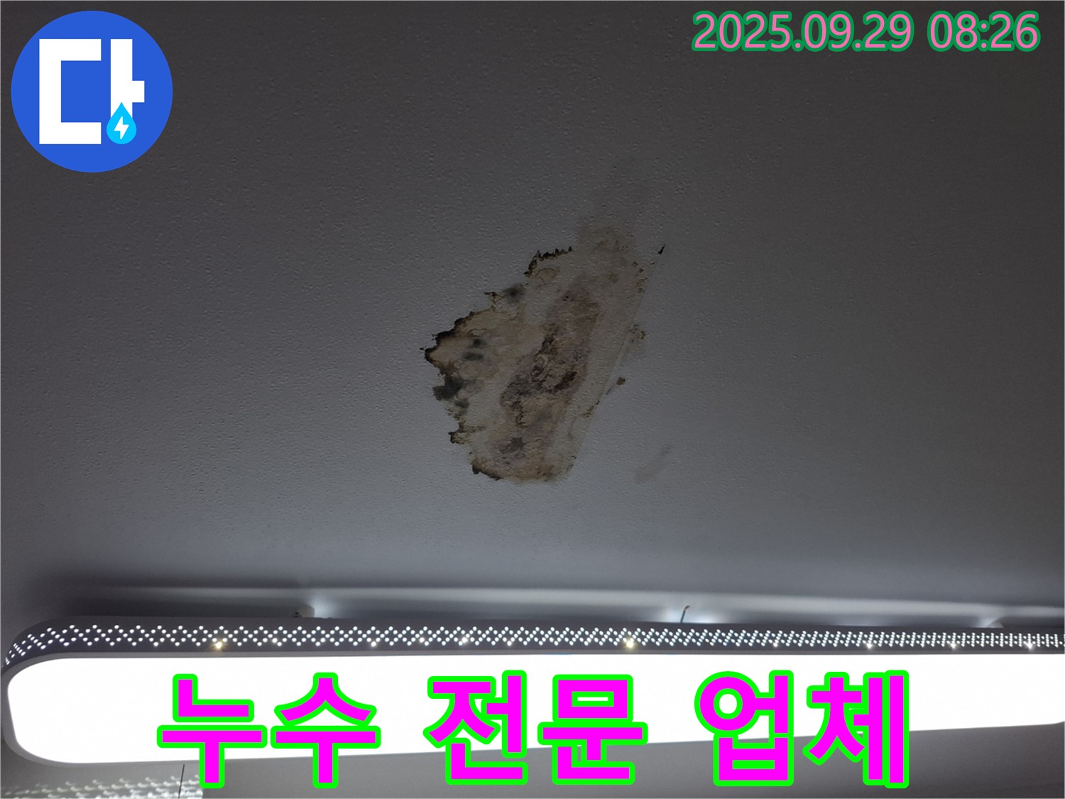 젖은 천장 - 곰팡이 - 누수 해결 전문