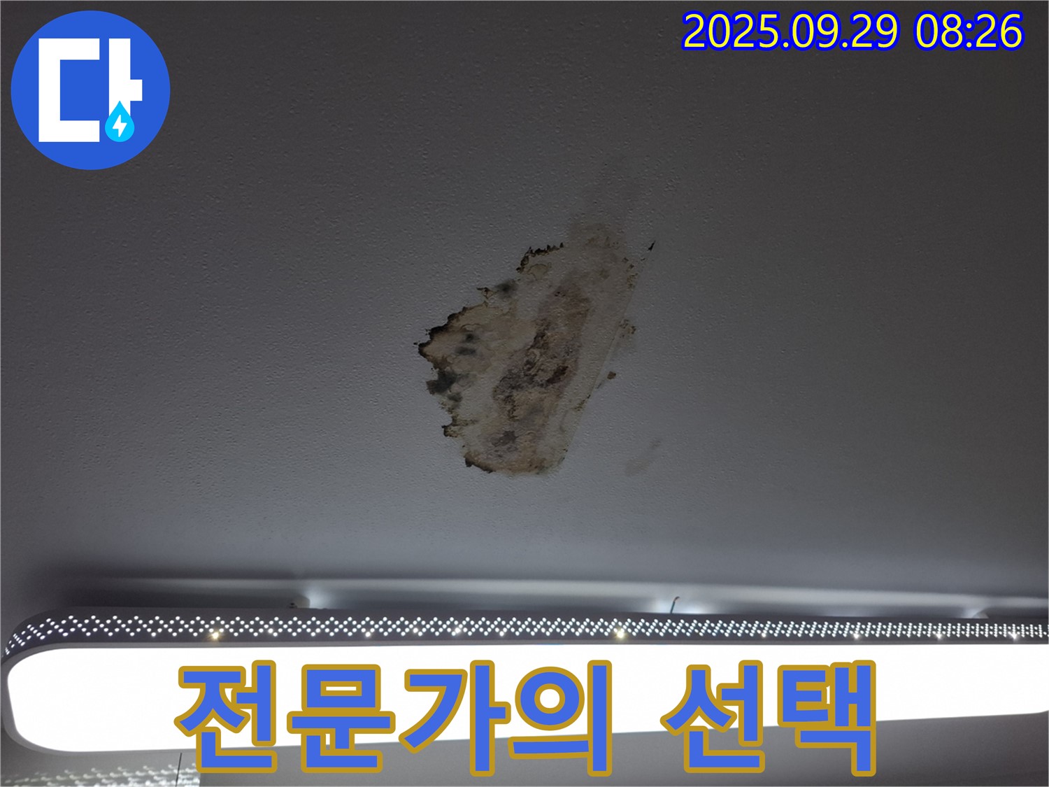 천장 누수 - 전문가 - 확실한 해결 보장