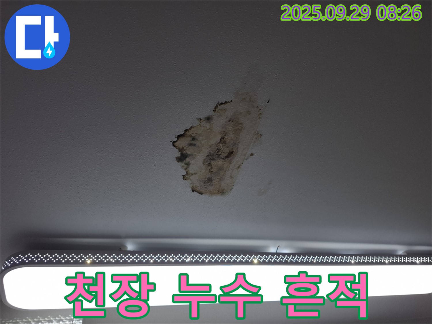 천장 누수 흔적 - 곰팡이 발생 - 누수 장기화
