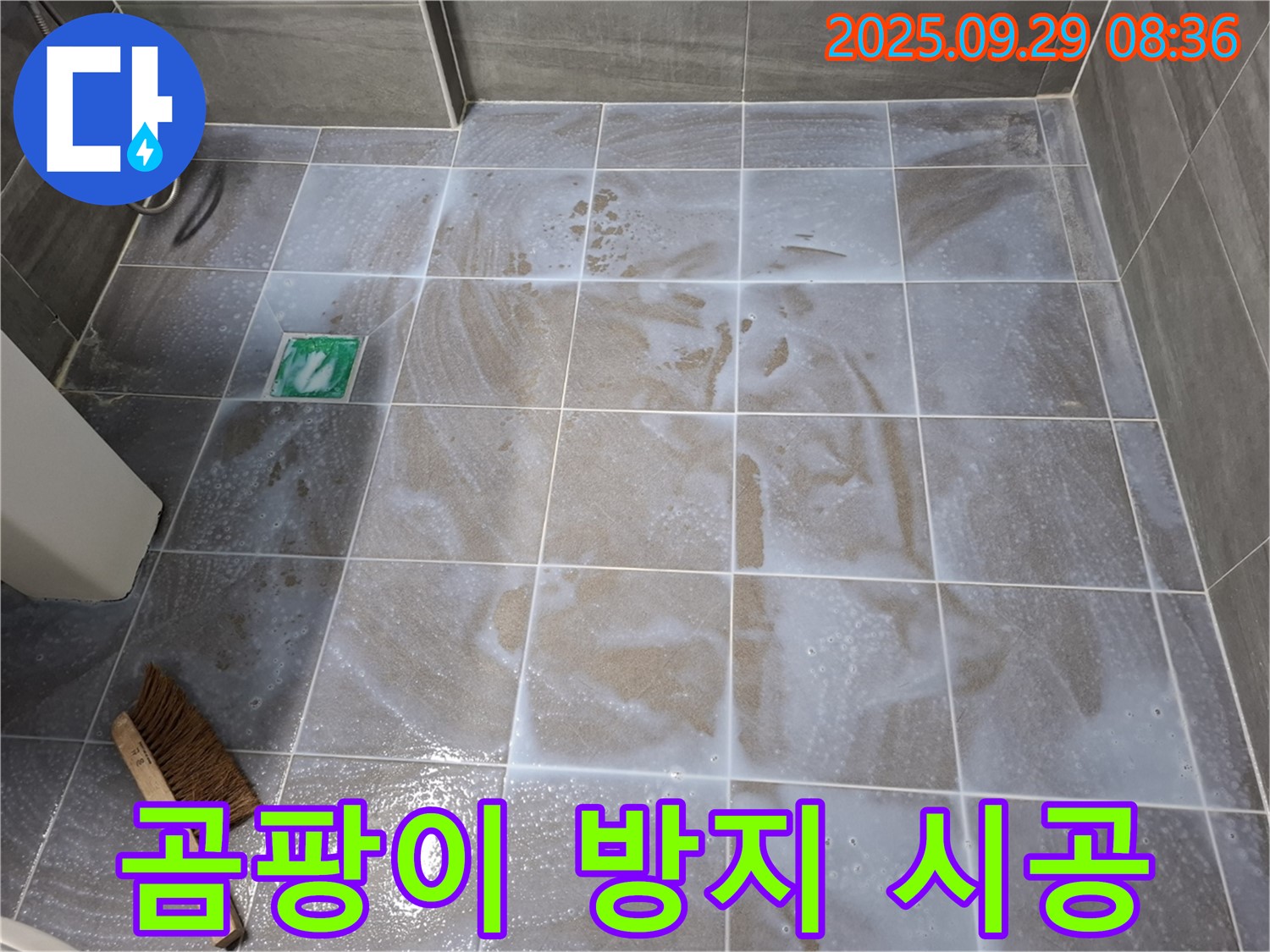 타일 틈새 - 곰팡이 방지로 깨끗하게