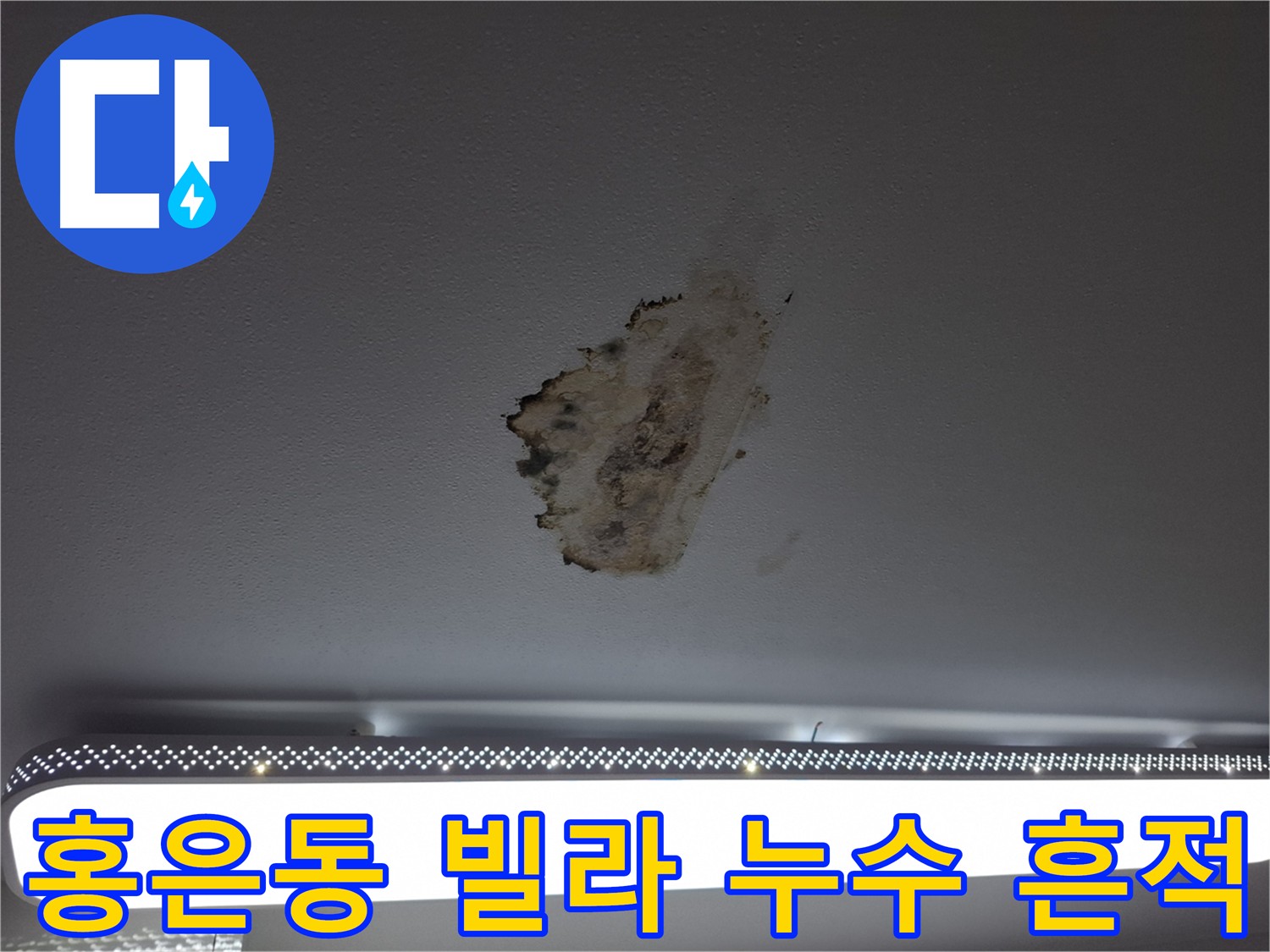천장 젖음과 곰팡이 - 숨겨진 누수 경로 파악의 중요성