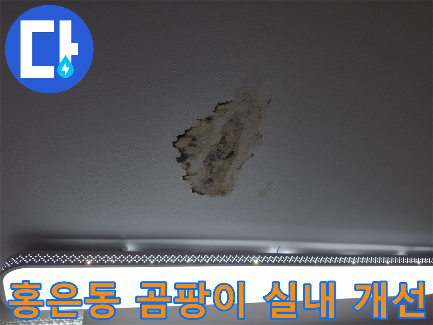 천장 곰팡이 제거 - 건강과 쾌적한 실내 환경