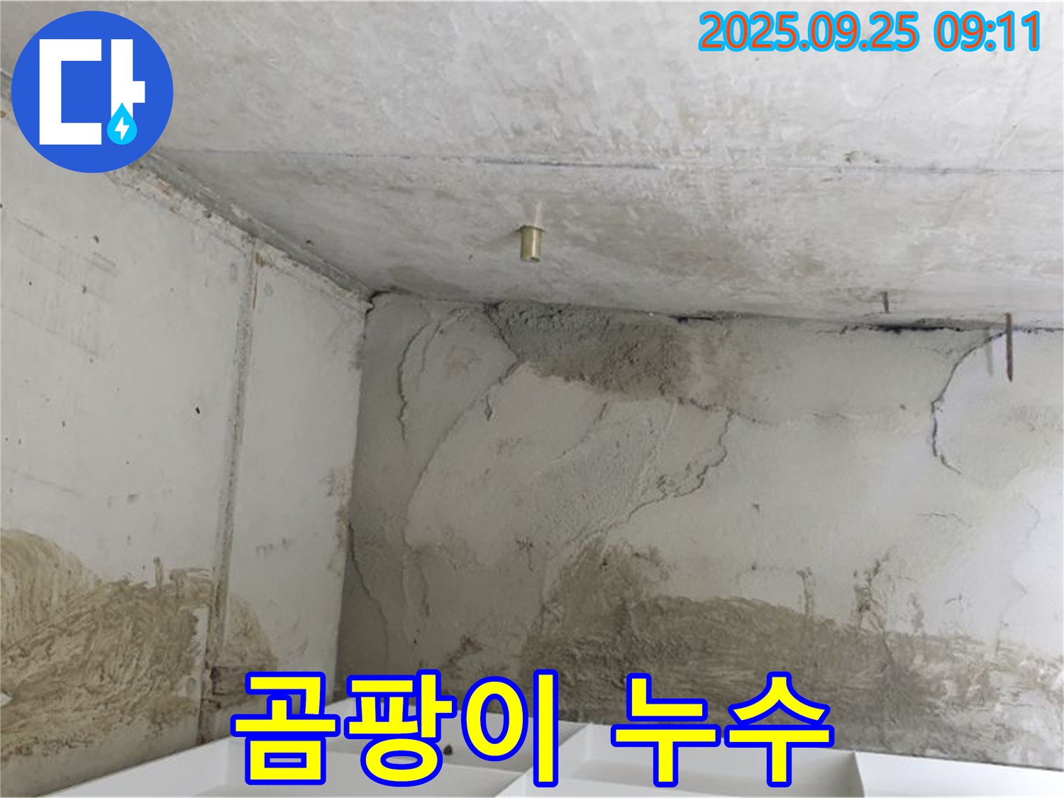 양주시 백석읍 누수 - 곰팡이 발생으로 건강 위협