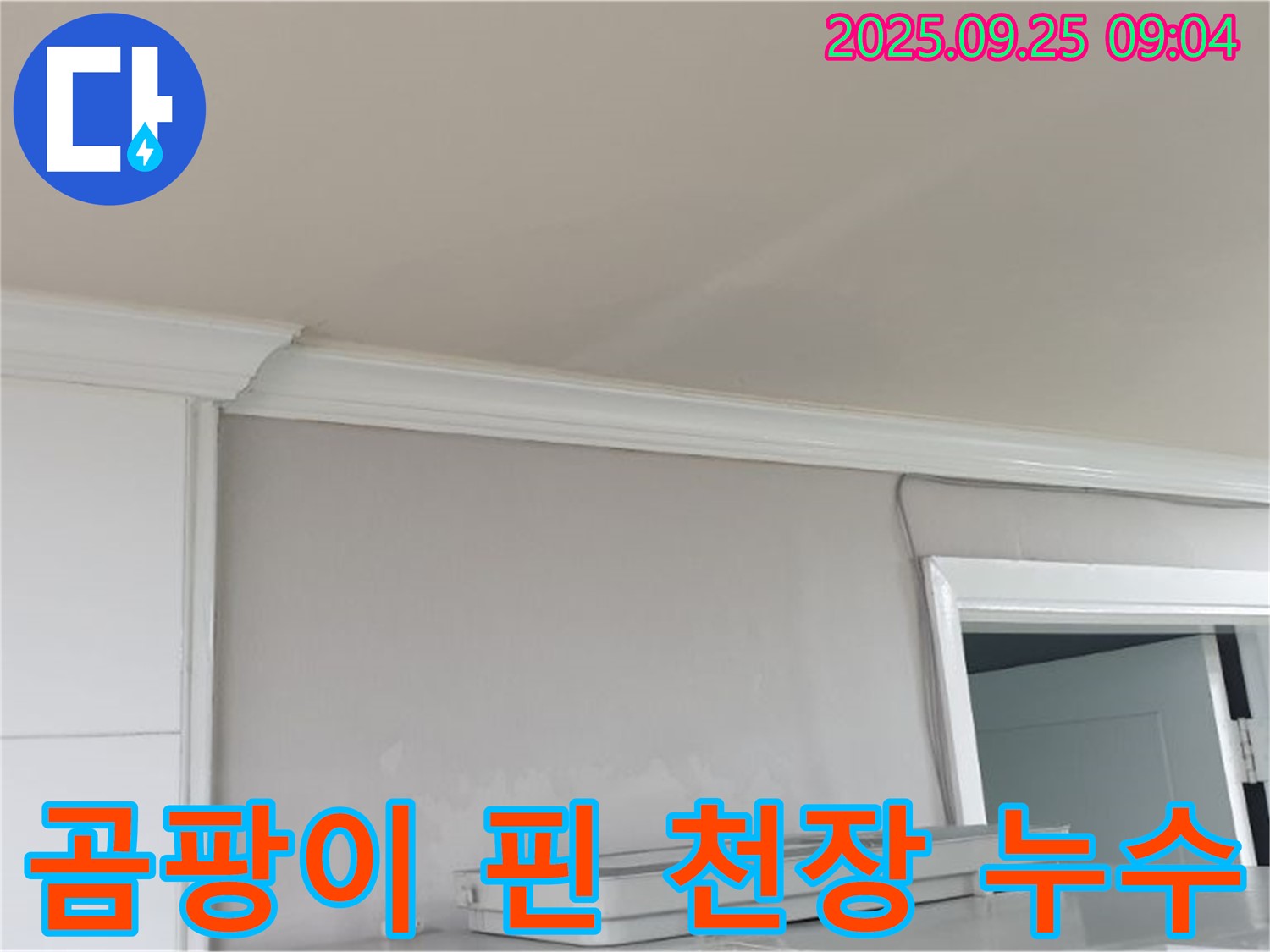 양주시 백석읍 연곡리 - 곰팡이 핀 천장 누수 문제, 전문적인 해결 과정.