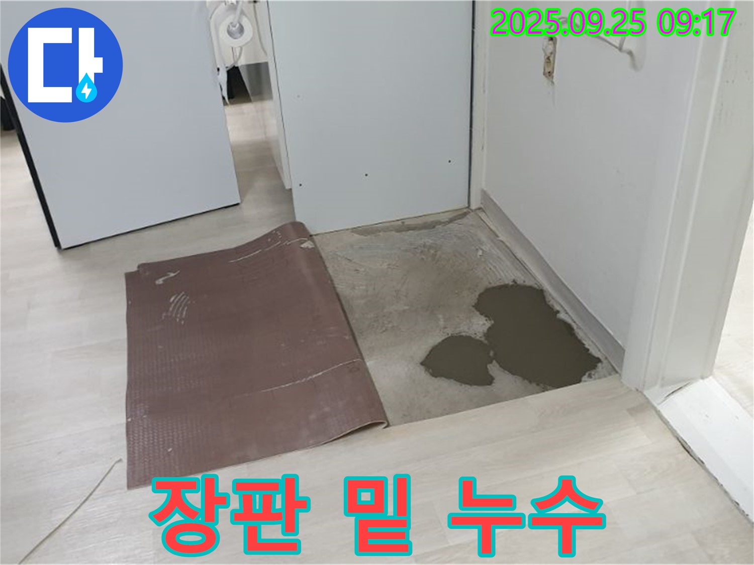 양주시 백석읍 연곡리 누수 - 장판 밑에 숨어있던 누수 발견