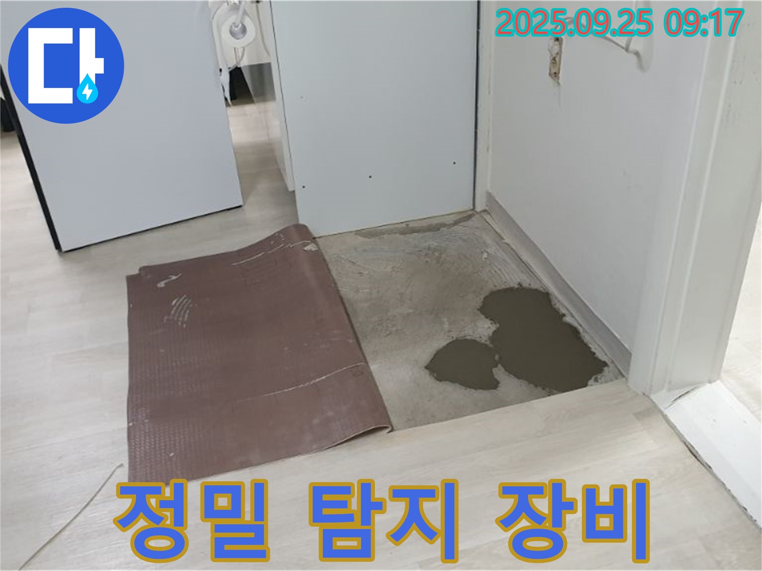 양주시 백석읍 연곡리 누수 - 정밀 누수 탐지 장비 사용