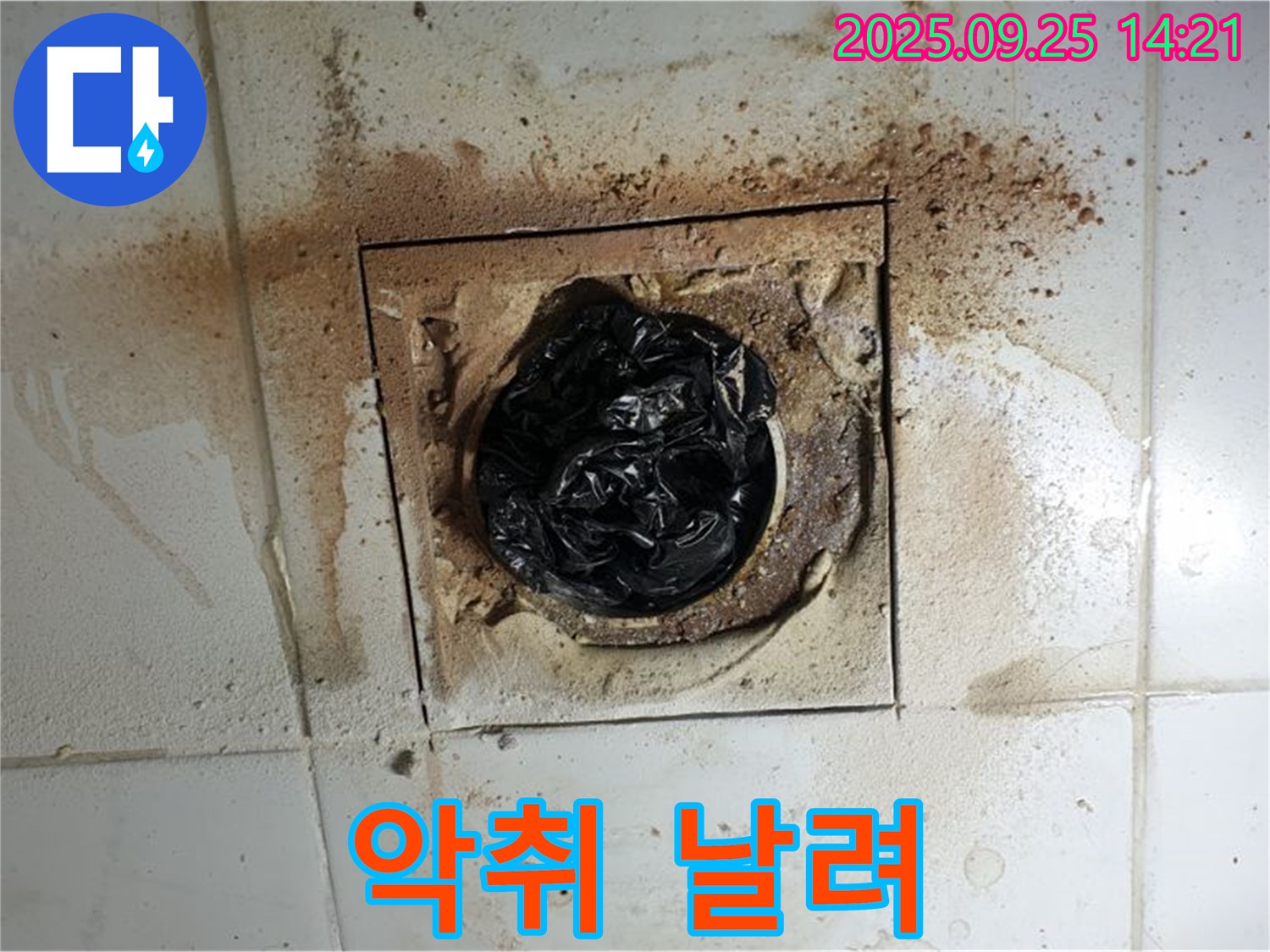 의정부1동 배수구 악취 제거 - 상쾌함을 되찾으세요