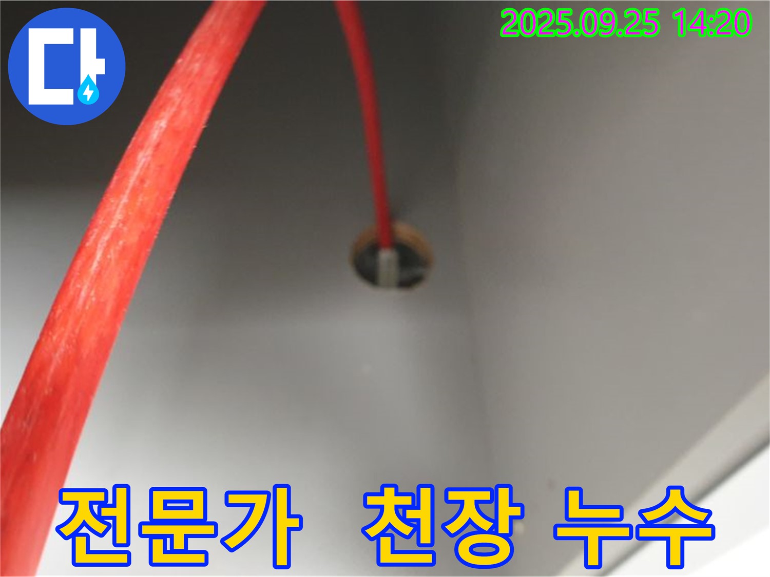 의정부2동 믿음직한 전문가 - 천장 누수 해결