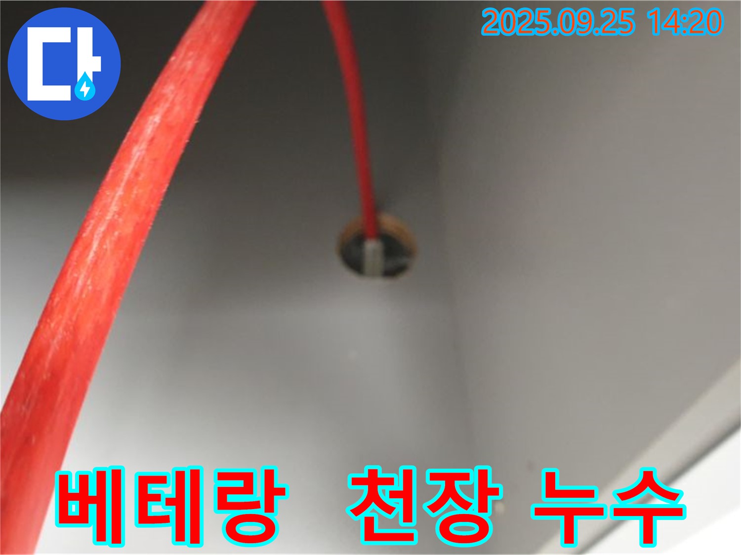 의정부2동 베테랑 - 천장 누수 해결