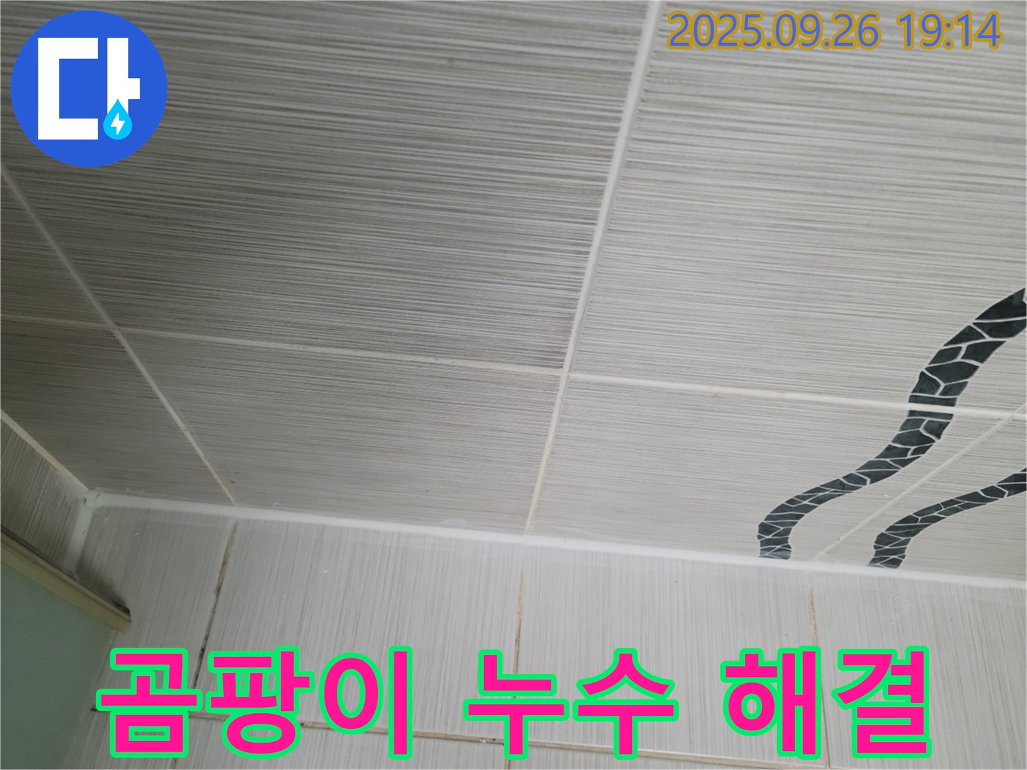 곰팡이 누수 해결 - 완벽한 해결, 쾌적한 공간!