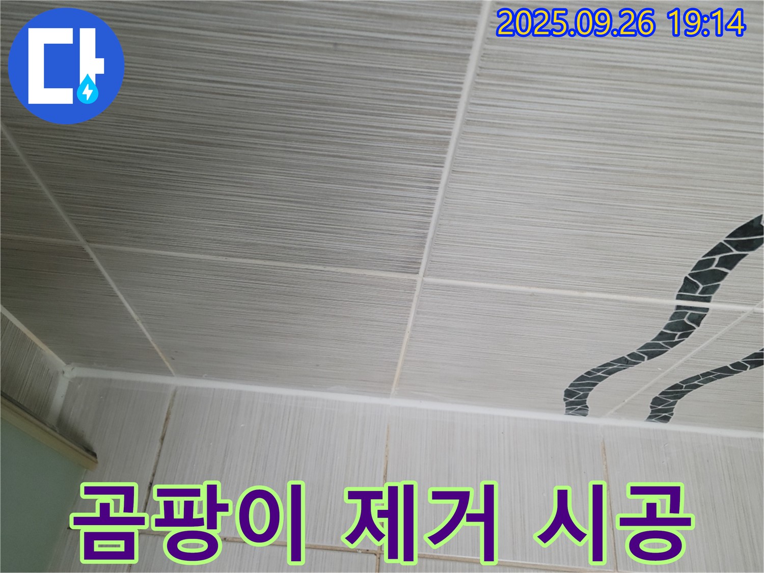 곰팡이 제거 시공 - 확실한 A/S 보장!