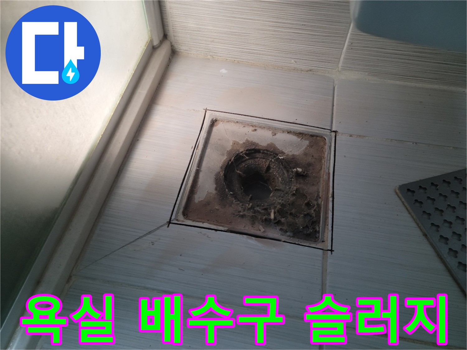 욕실 배수구 슬러지 상태 점검 사진
