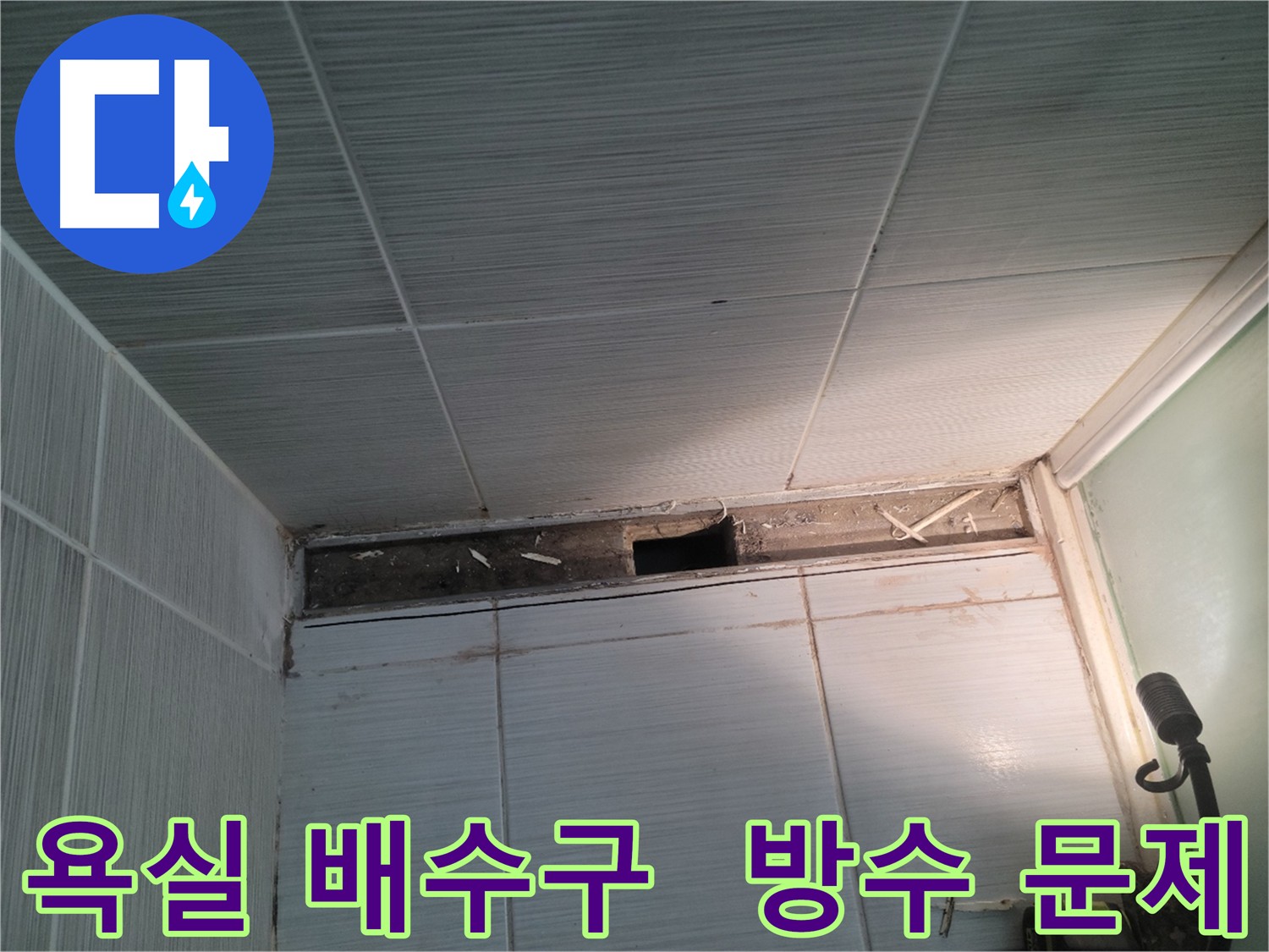 동두천 신창비바패밀리 욕실 배수구 주변 누수 - 노후화된 방수층 점검