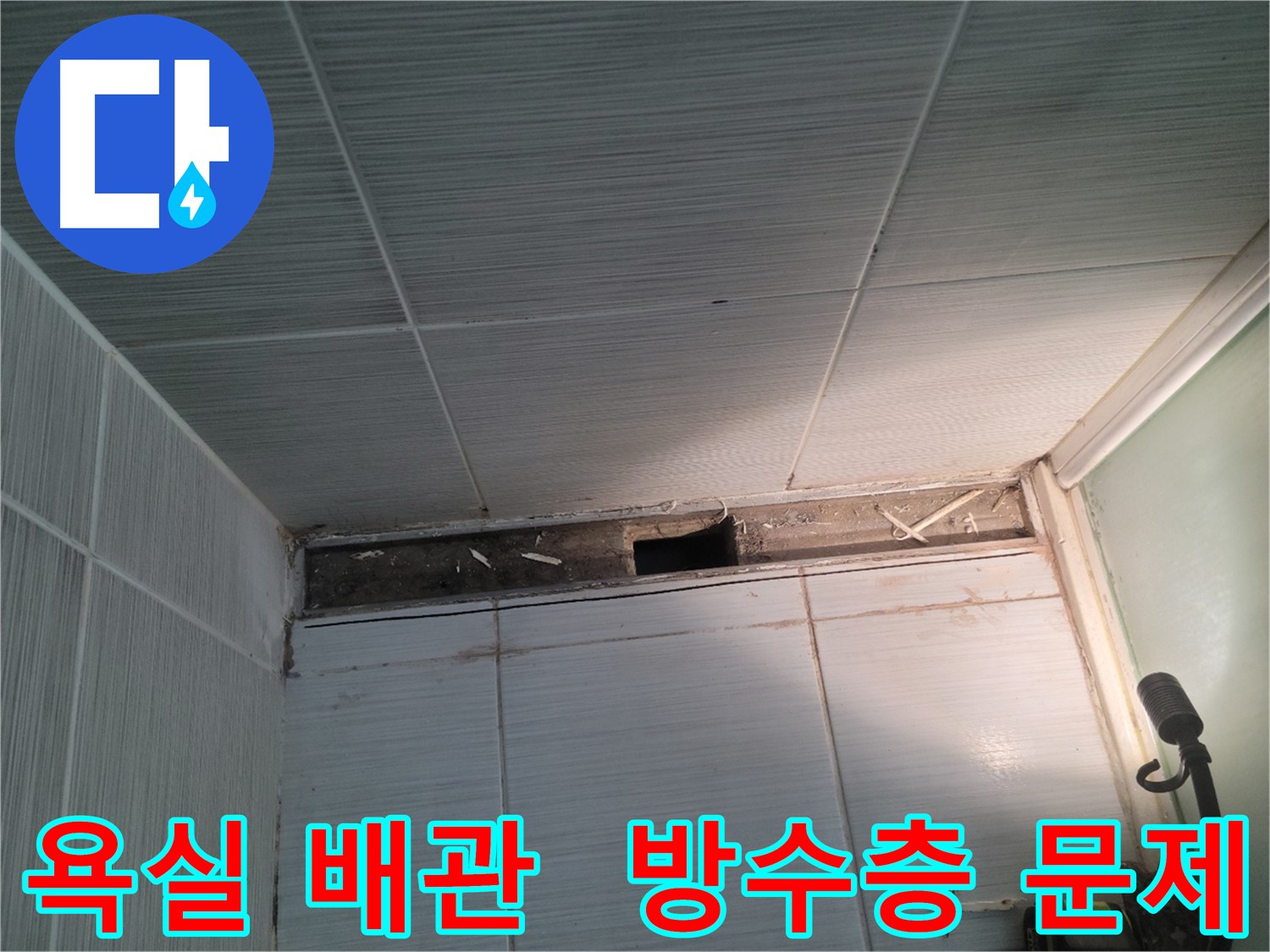 동두천 신창비바패밀리 욕실 누수 - 변기 및 배수구 분리 후 손상된 방수층 발견