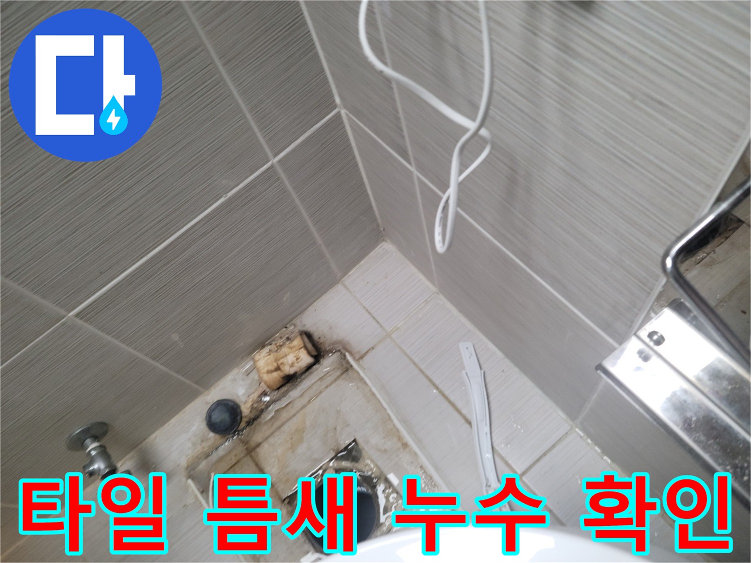 화장실 배수구 주변 - 타일 틈새 누수 확인
