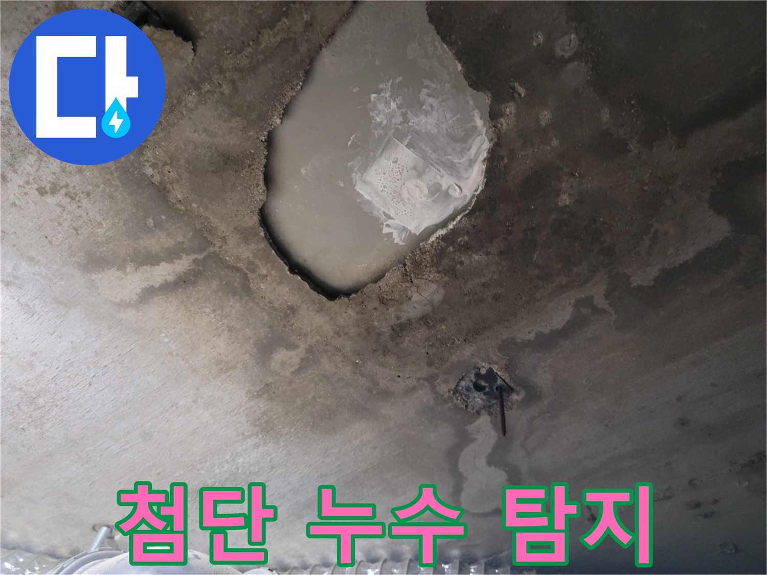 첨단 장비 누수 탐지 - 정확한 누수 지점 확인