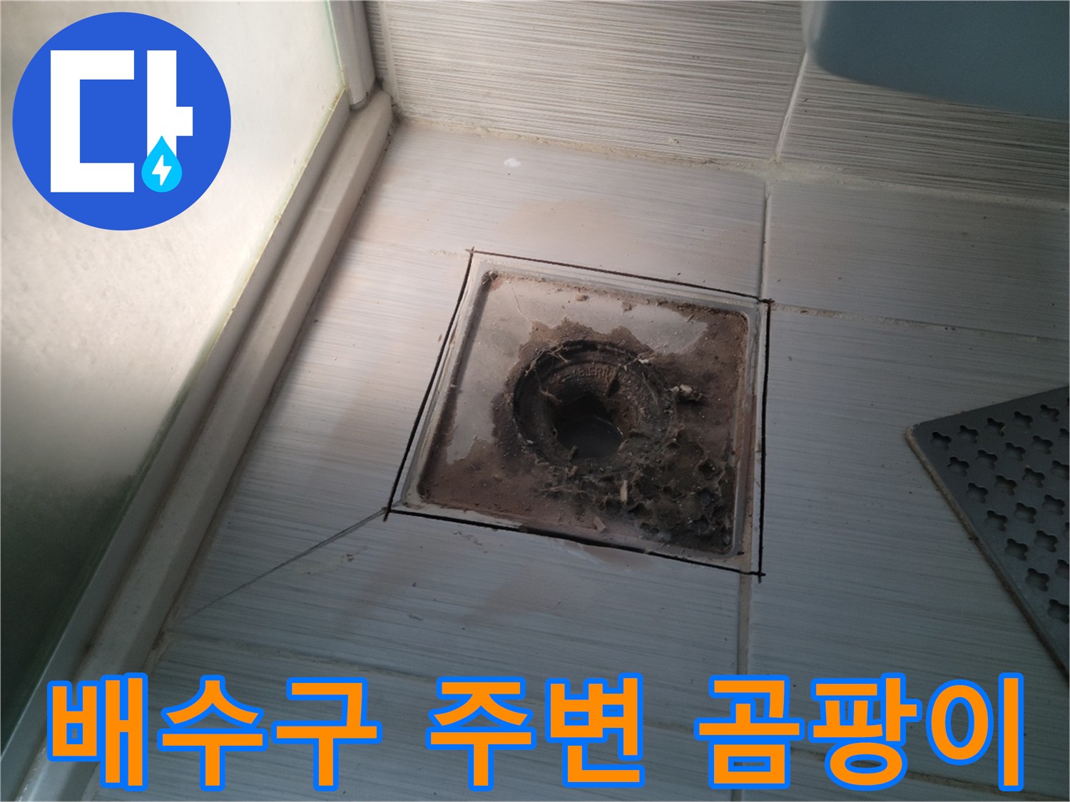 욕실 배수구 주변 곰팡이 발생 사진