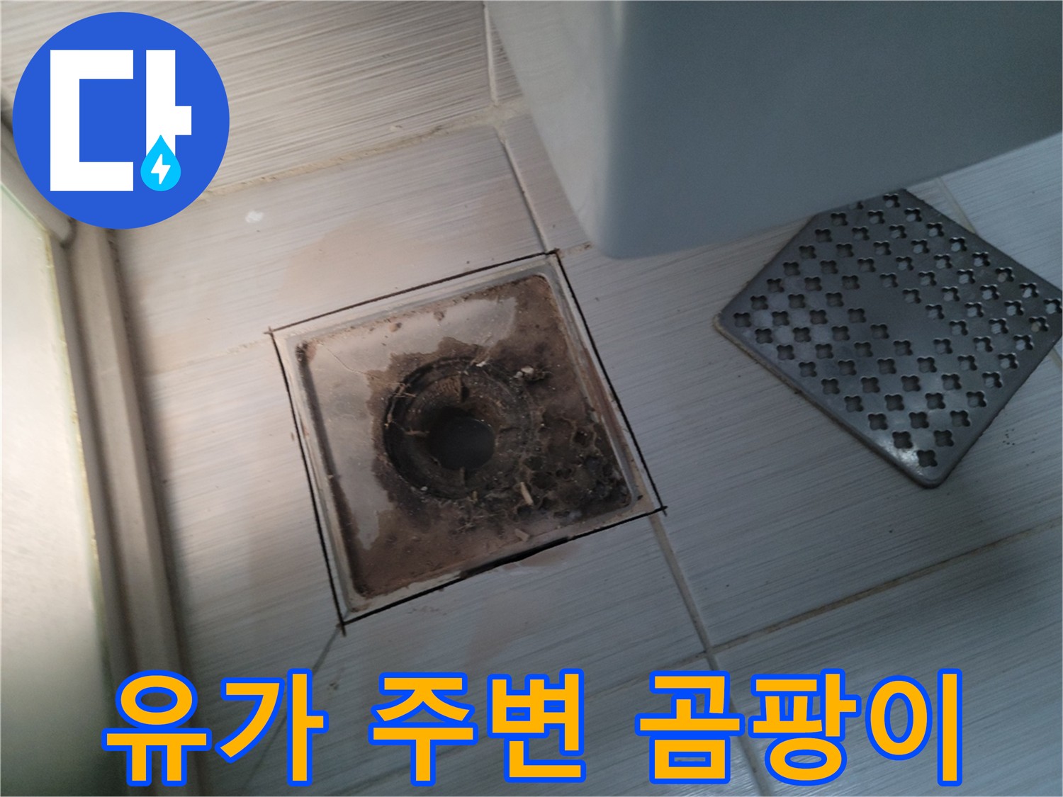 욕실 유가 - 곰팡이 발생 - 습기와 누수의 연관성 확인