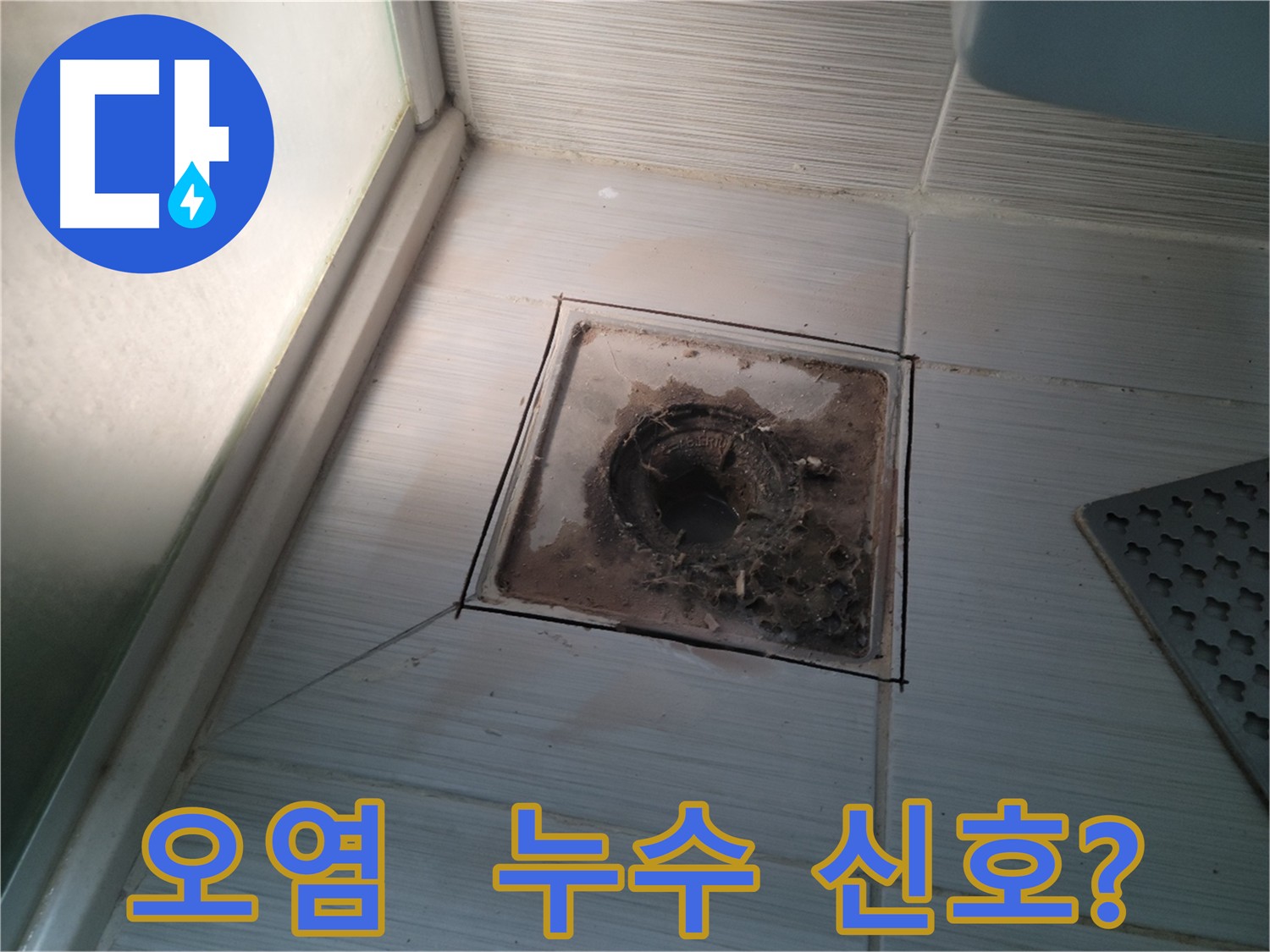 욕실 배수구 주변 오염 상태 상세 사진