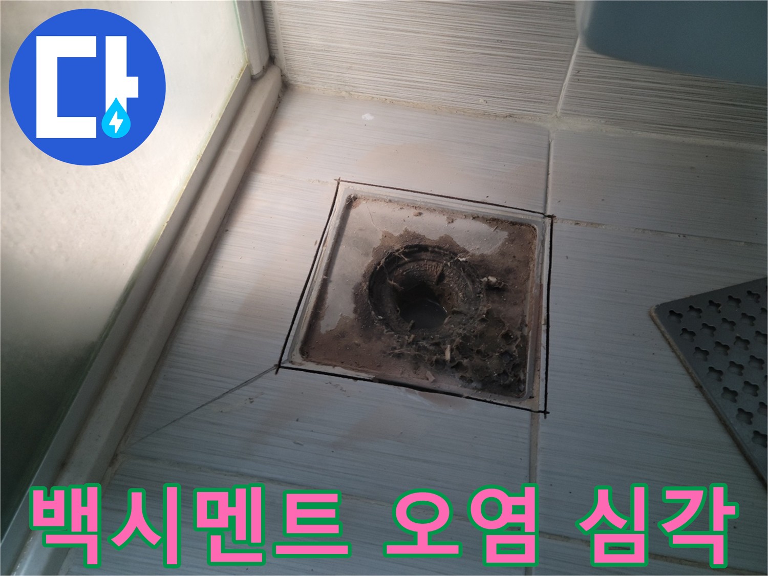욕실 배수구 주변 백시멘트 오염 심각한 상태 - 누수 가능성 높음