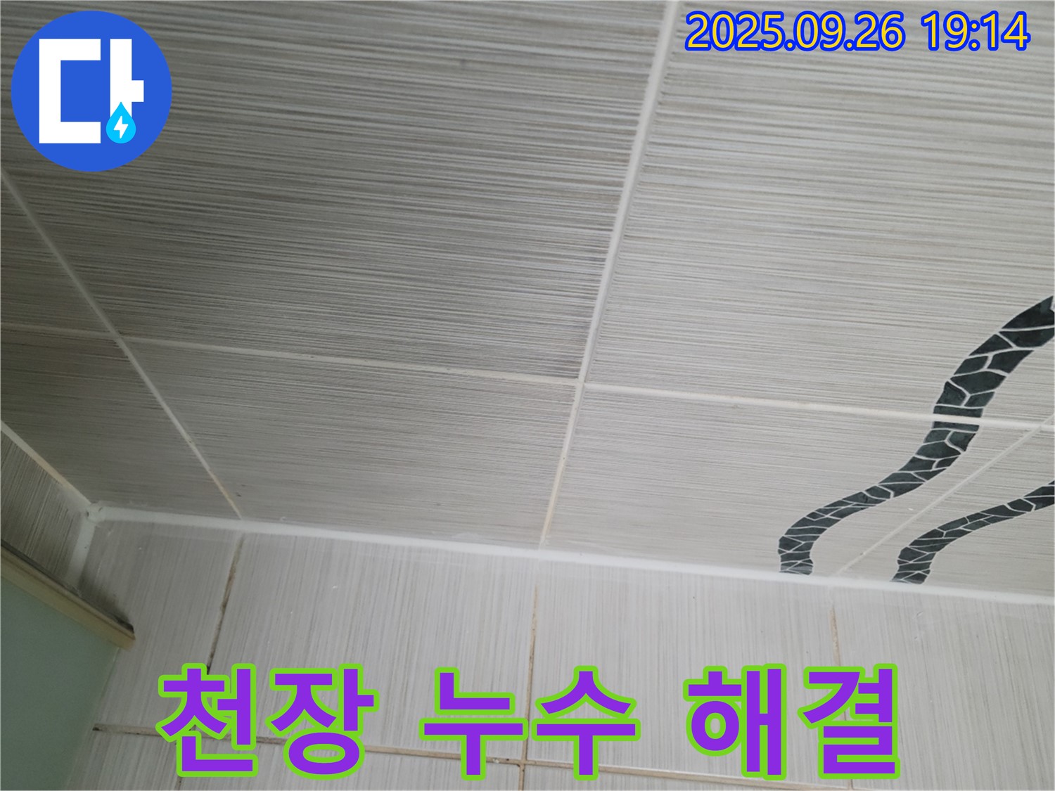 천장 누수 완벽 해결 - 최고의 선택!