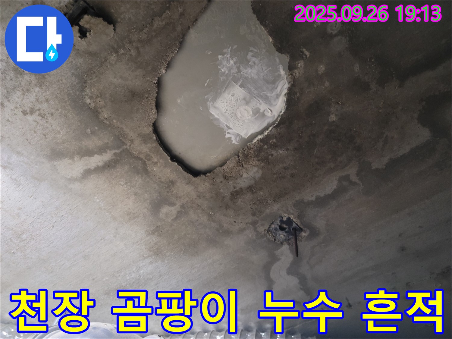 콘크리트 천장 - 곰팡이 - 누수 흔적