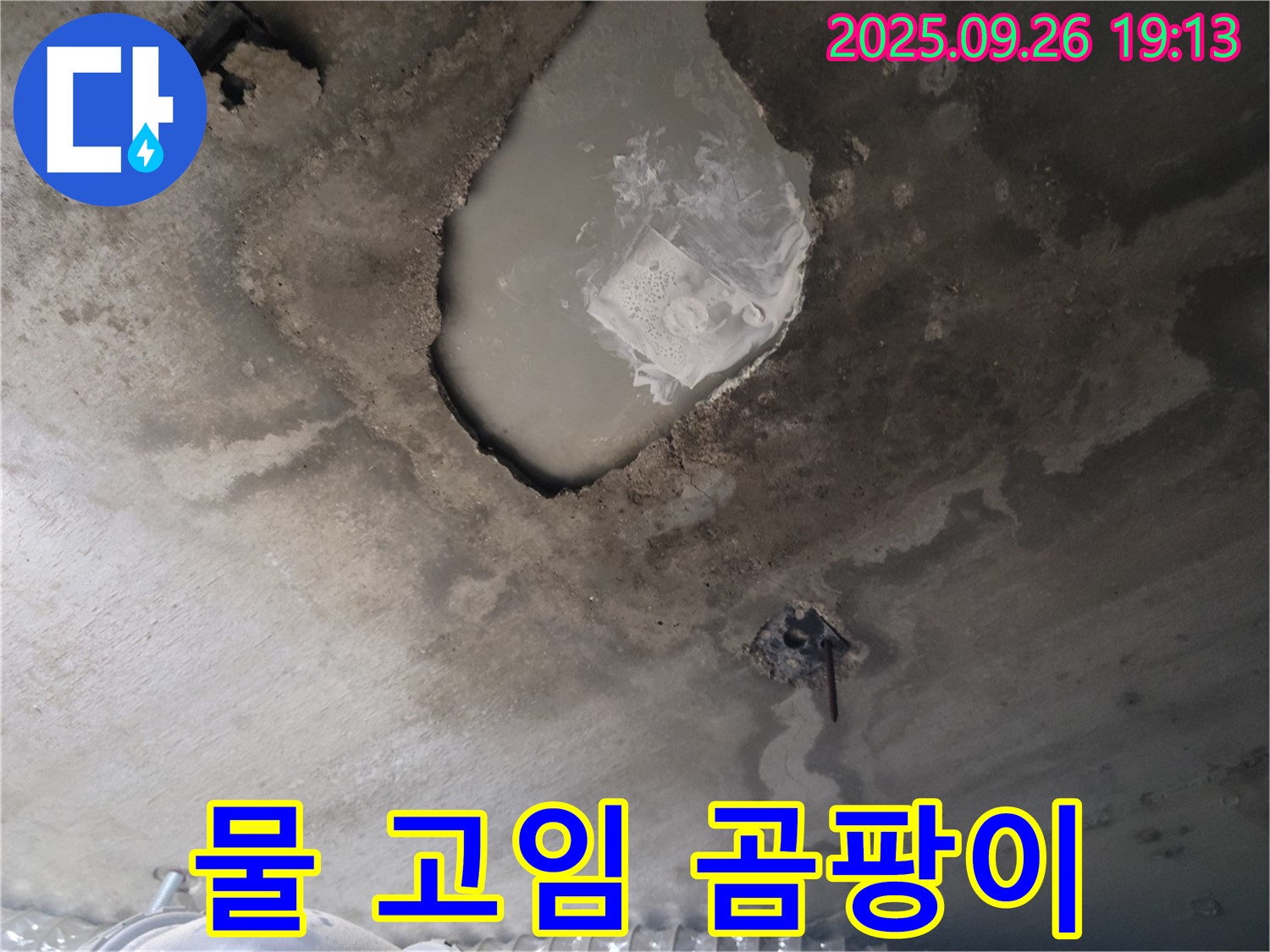 콘크리트 천장 - 물 고임 - 곰팡이 초기 증상