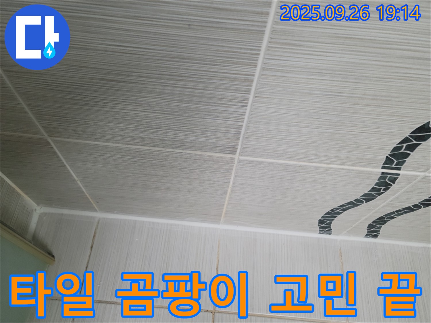 타일 곰팡이 고민 끝 - 전문가가 해결!