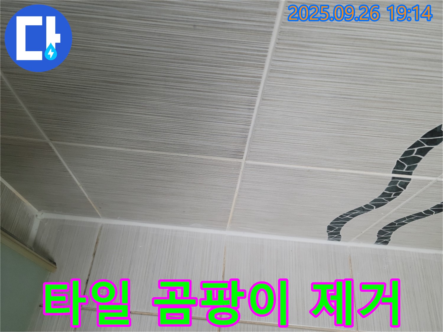 타일 곰팡이 완벽 제거 - 깨끗한 욕실!
