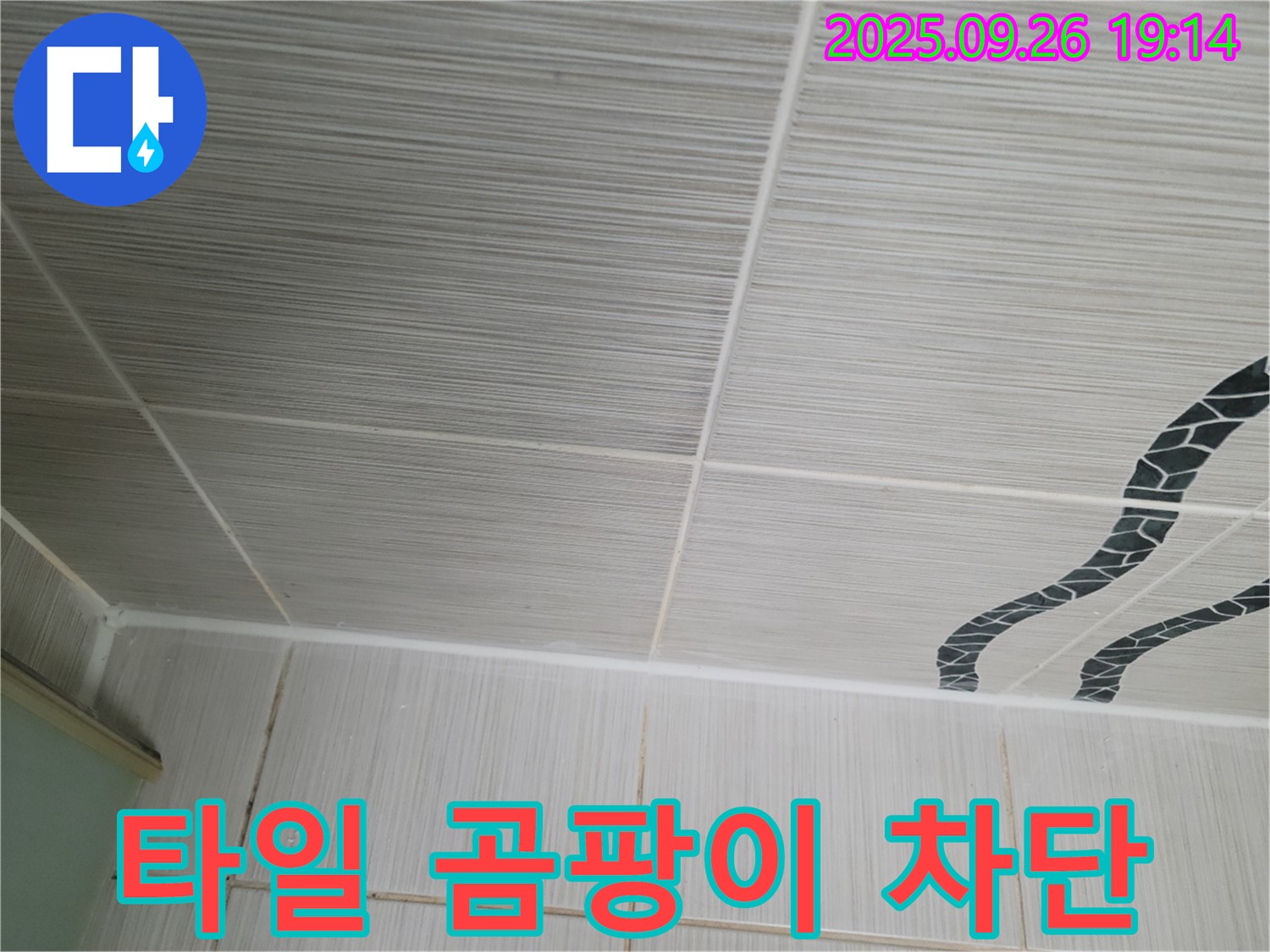 타일 곰팡이 완벽 차단 - 곰팡이 걱정 끝!