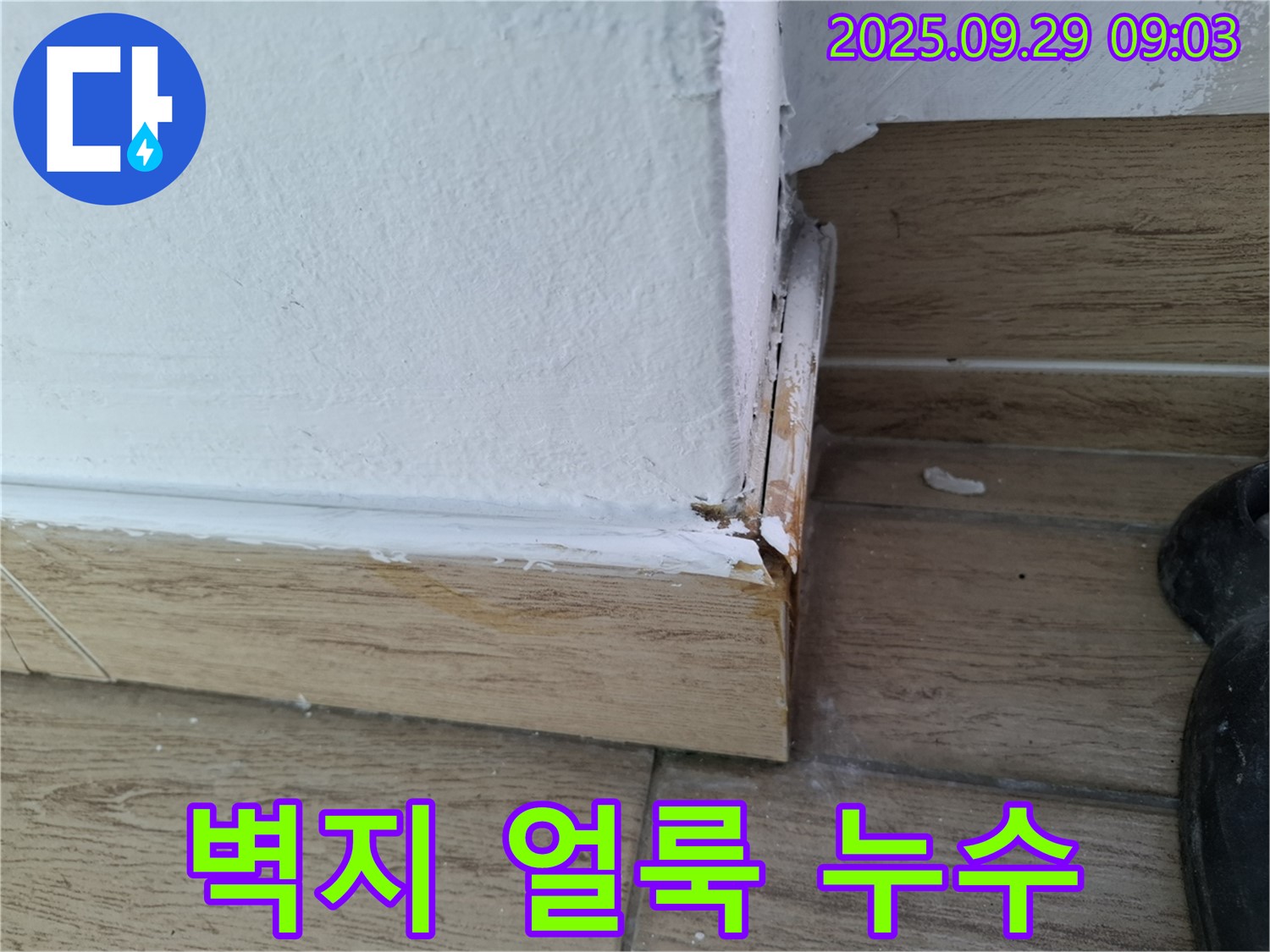 벽지 얼룩 - 미세 누수의 신호