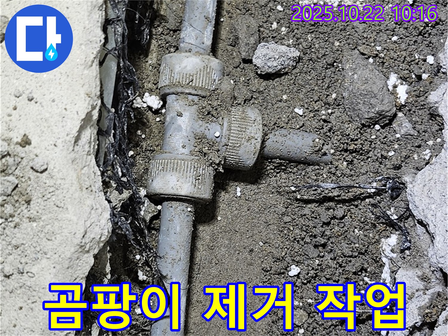 누수 부위 곰팡이 제거 - 깨끗하게