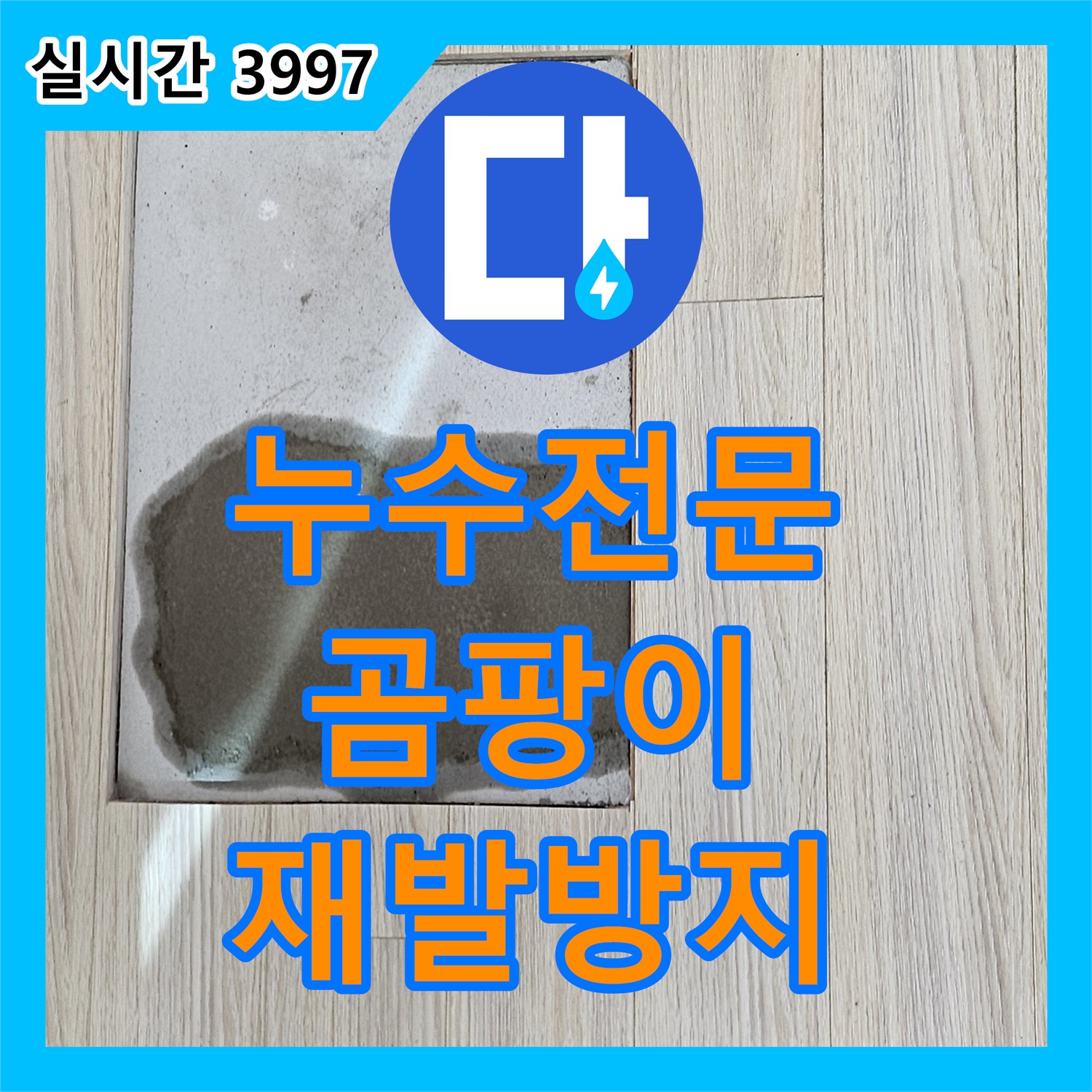 누수전문, 아랫층 천장 누수, 곰팡이 발생 가능성 진단