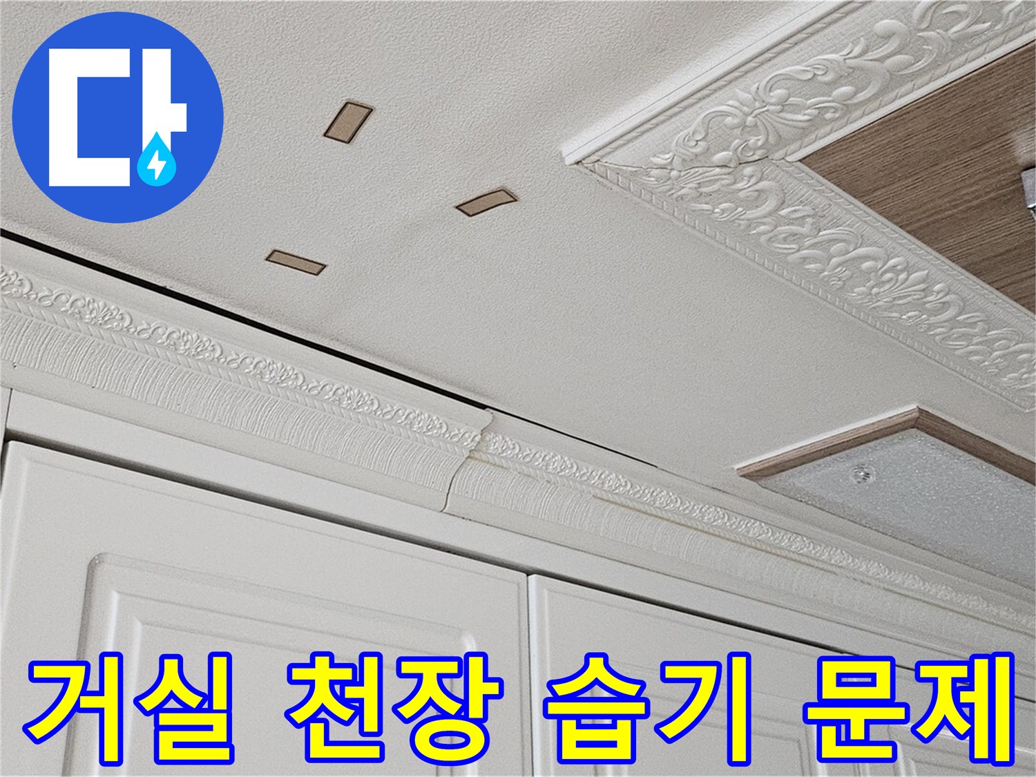 아랫집 거실 천장 습기 - 곰팡이 발생 우려