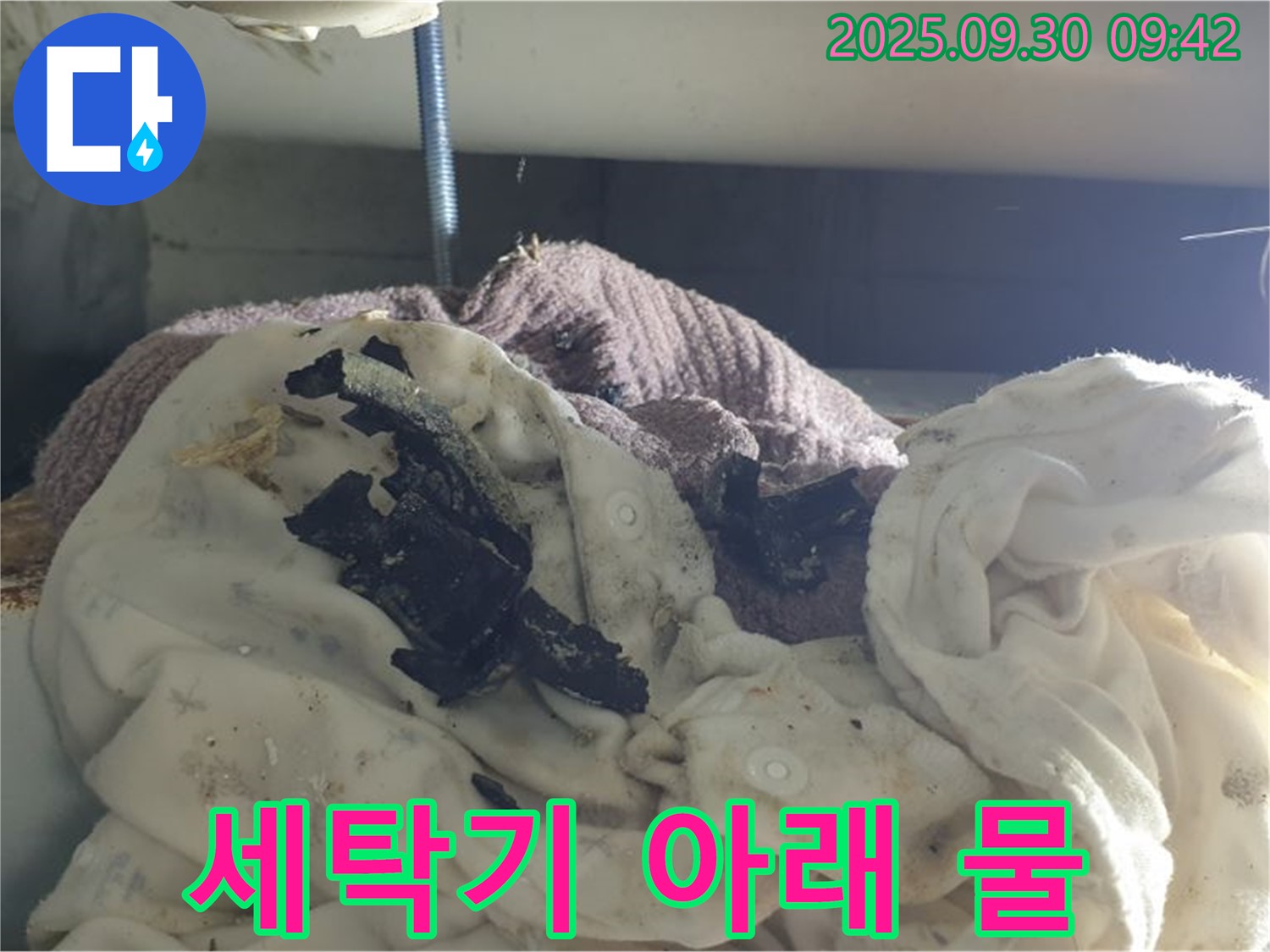 세탁기 아래 물 - 긴급 점검 - 양주 누수 현장