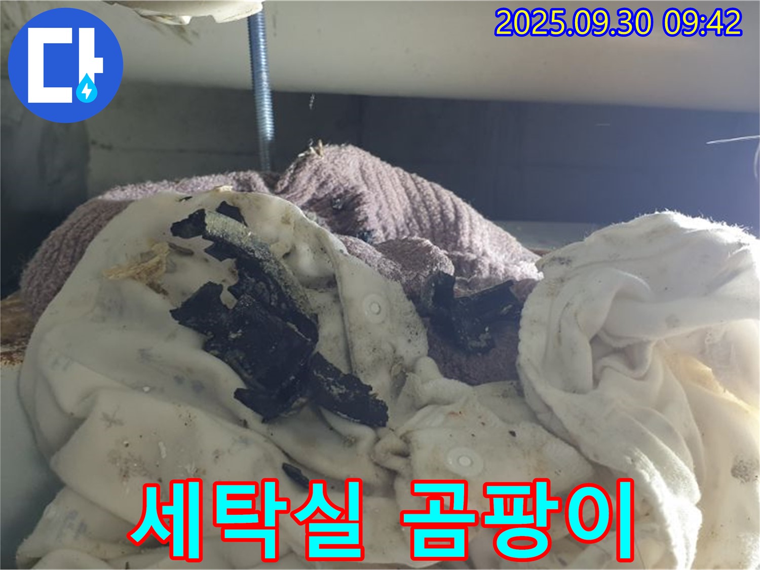 세탁실 곰팡이 - 건강 위협 - 광적면 누수 현장