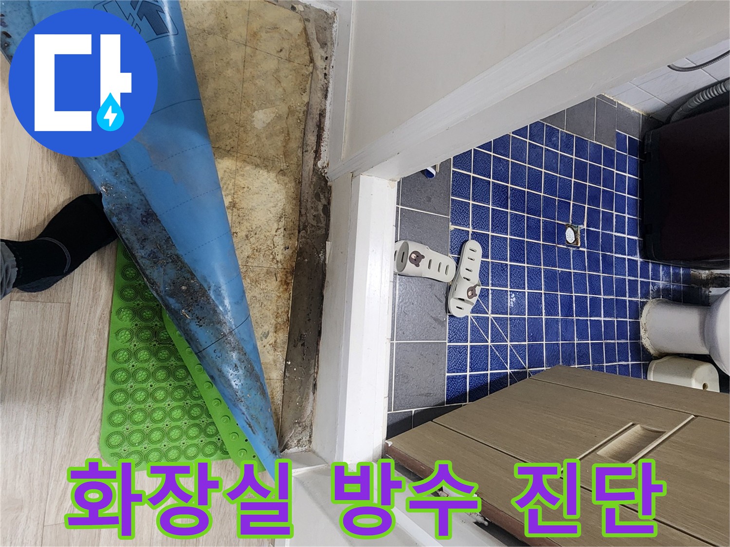 공릉동 화장실 누수 의심 - 장판 아래 습기와 곰팡이 냄새