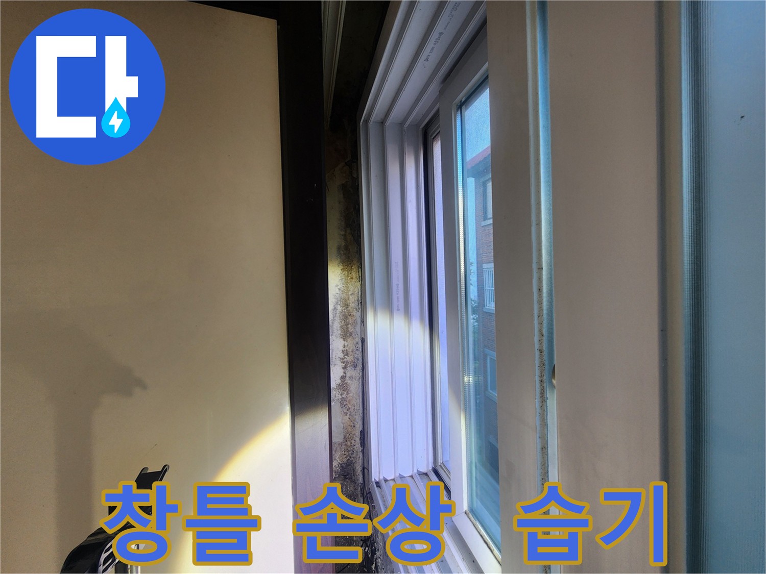 창틀 실리콘 손상 및 벽면 습기 - 누수 또는 결로 가능성