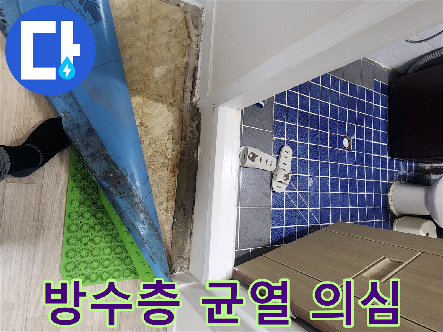 노원구 화장실 누수 - 방수층 균열 의심, 장판 아래 습기와 곰팡이