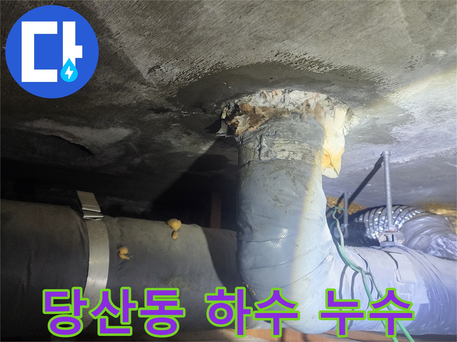 영등포구 하수 배관 누수 - 당산동 아파트 누수 현장 이미지