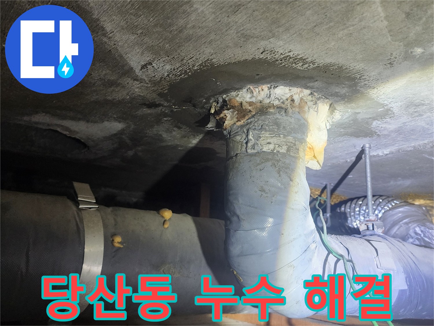 당산동 하수 배관 누수 발생 지점