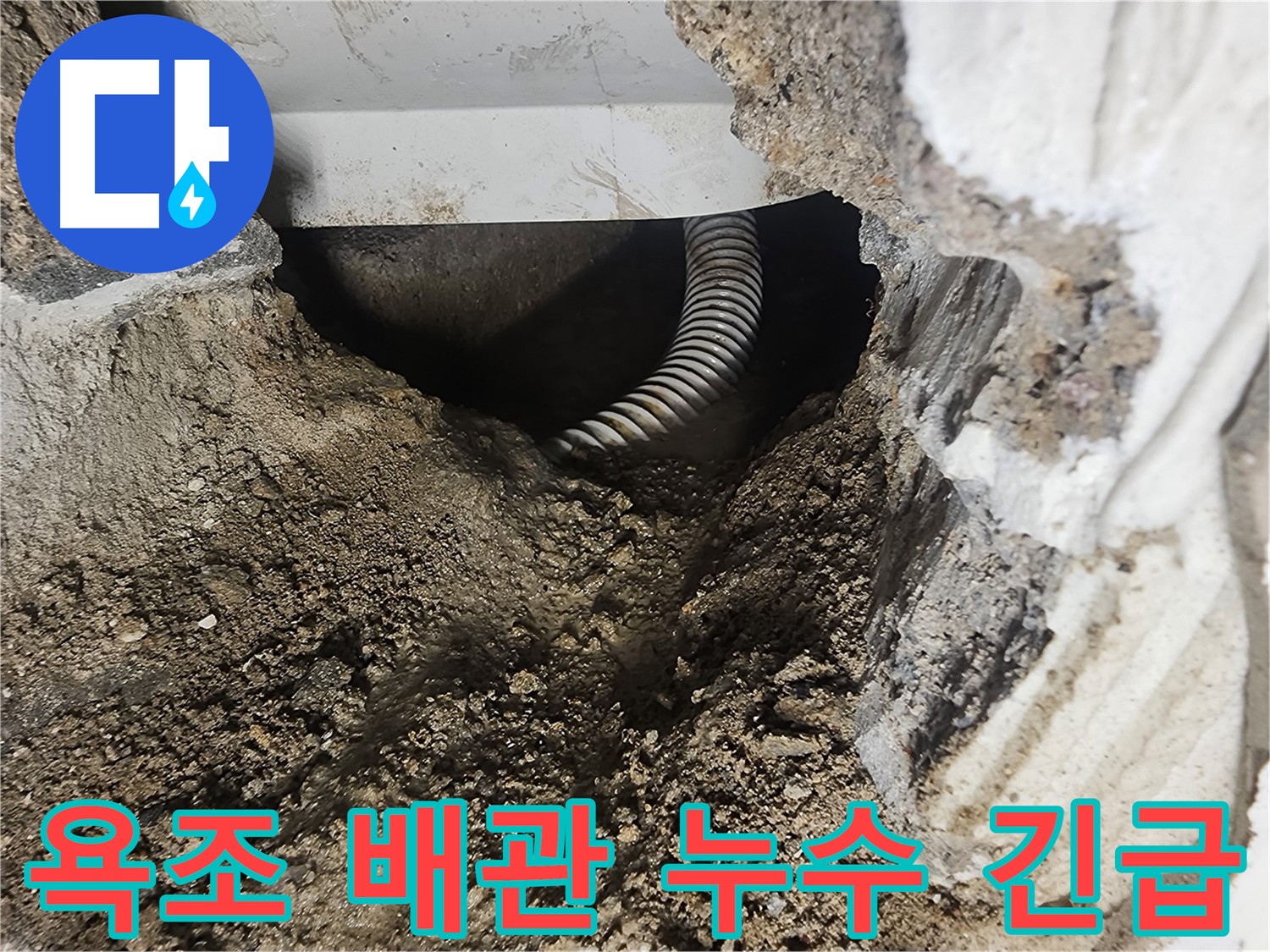 영등포구 당산동 욕조 누수 긴급 출동 - 24시간 누수 해결