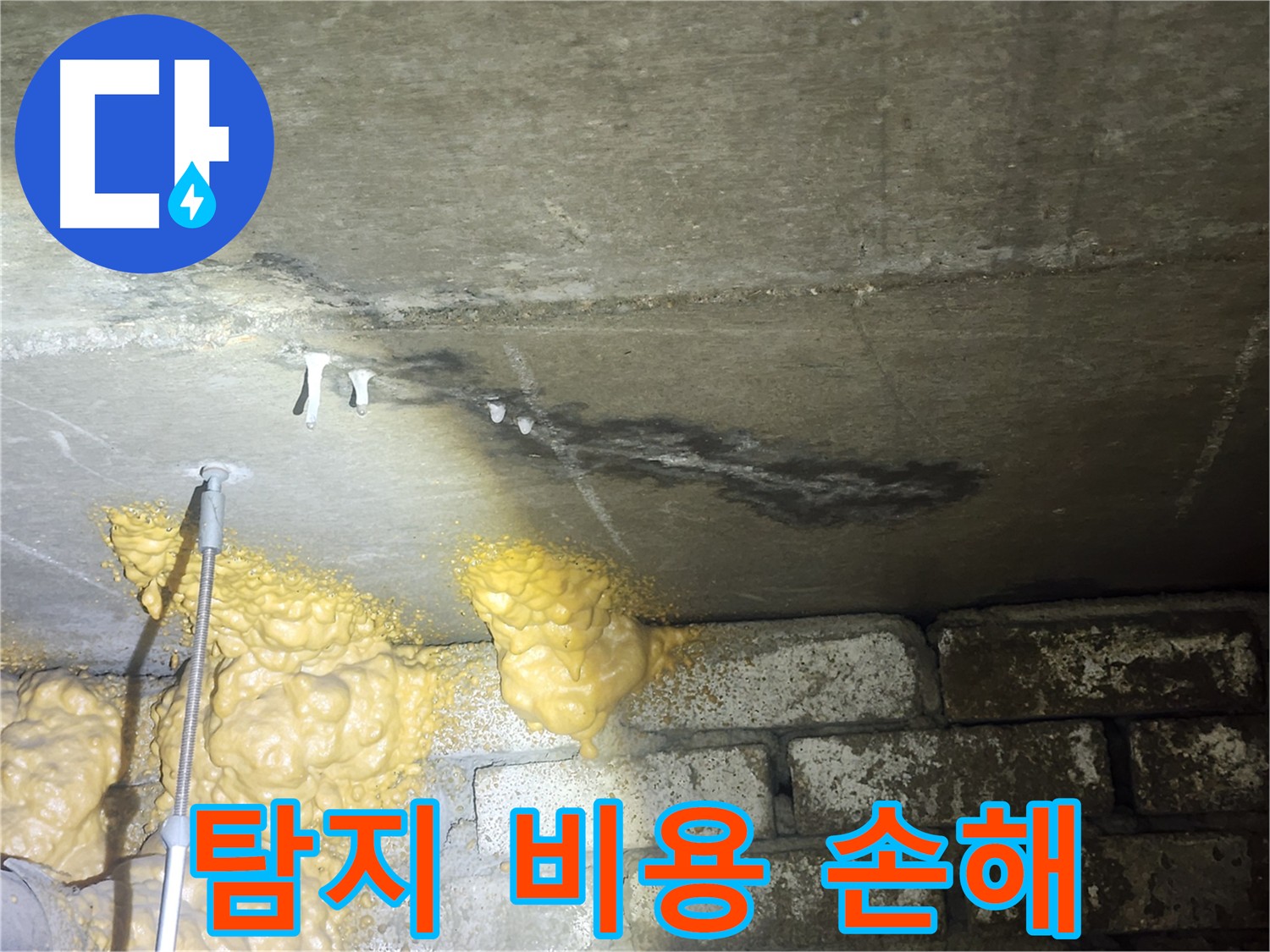 당산동 아파트 누수 - 검증된 업체 통한 정확한 진단 필요