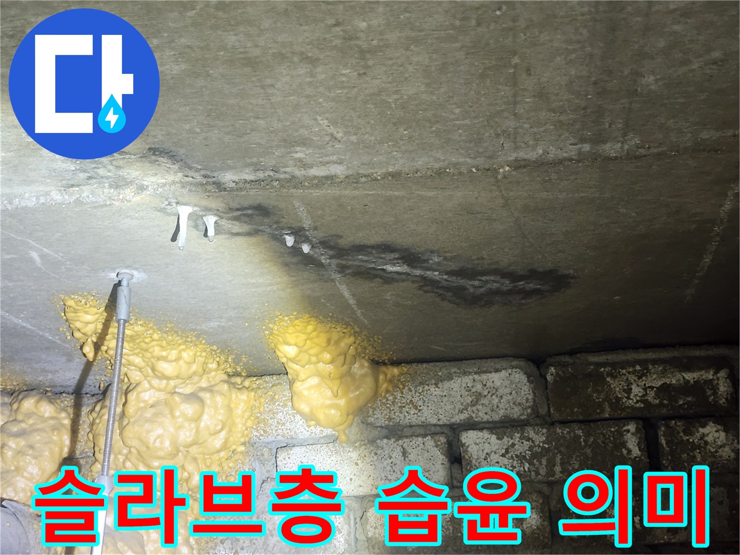 당산동 래미안 1차 아파트 누수 - 슬라브층 습윤으로 인한 누수 발생 및 아래층 피해 우려