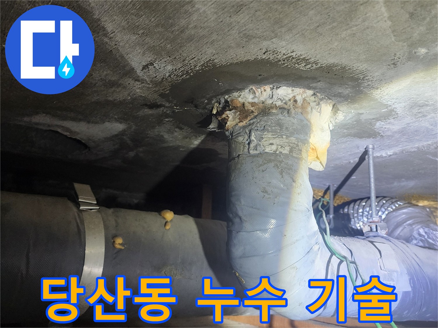 당산동 하수 배관 누수 흔적 발견