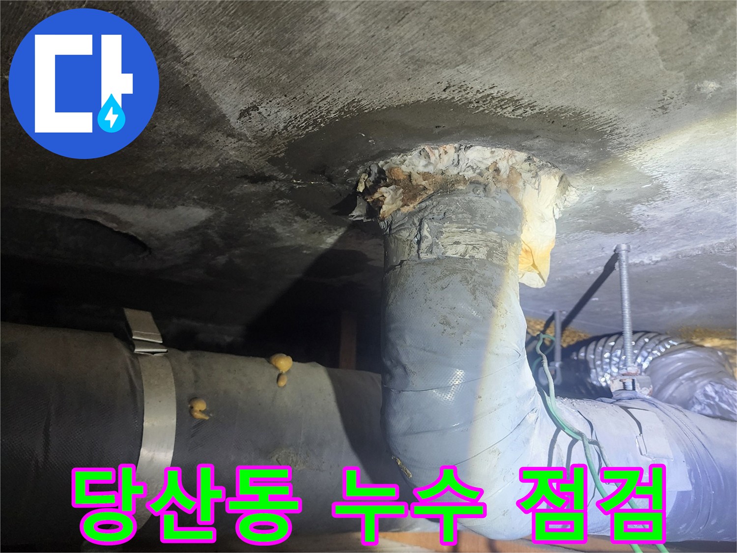 당산동 하수 배관 누수 흔적 발견 사진