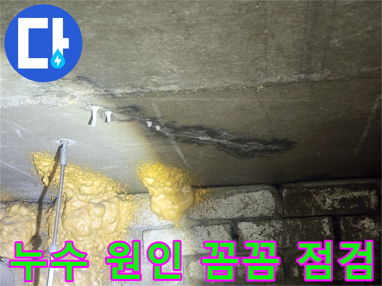 당산동 래미안 아파트 누수 - 첨단 장비 이용 정확한 원인 파악