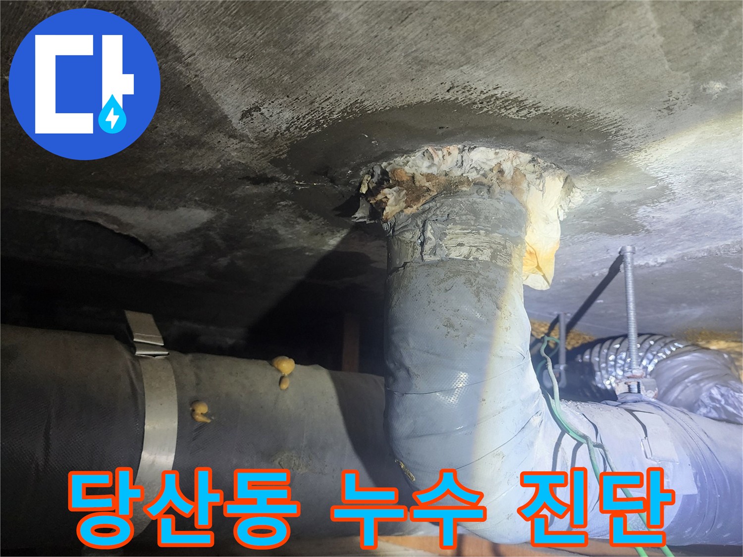 당산동 하수 배관 누수 흔적 발견 이미지